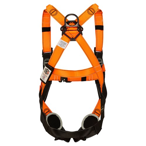 Essential Harness With Quick Release Buckle