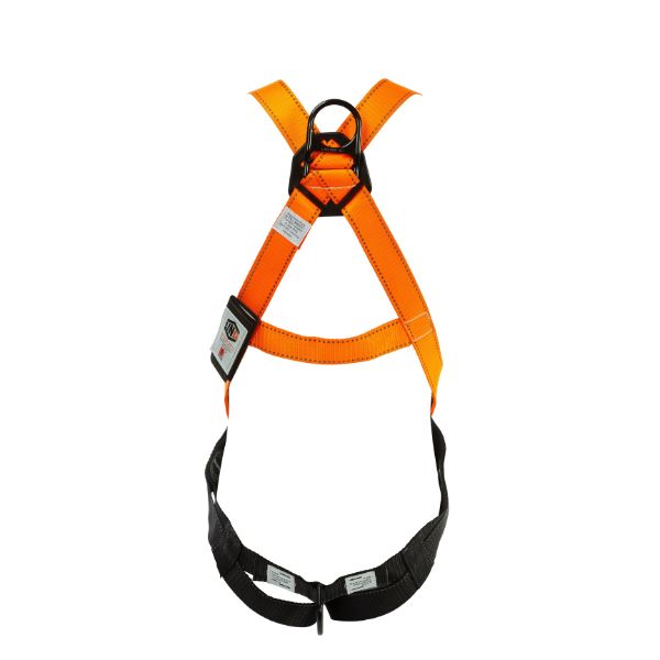 Essential Harness